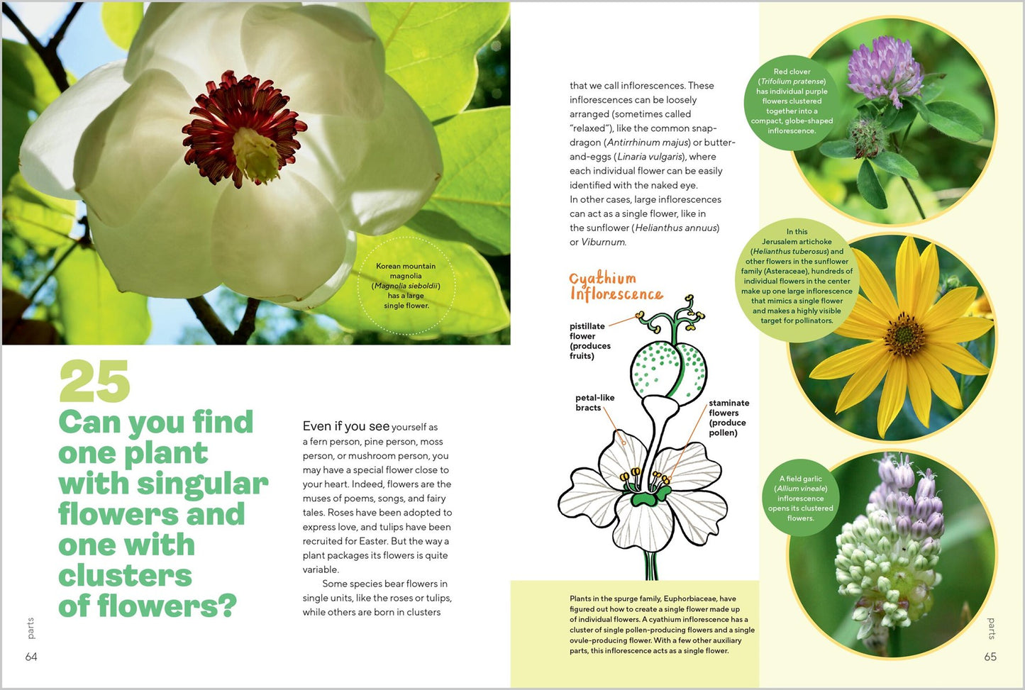 Let's Botanize:  101 Ways to Connect with Plants