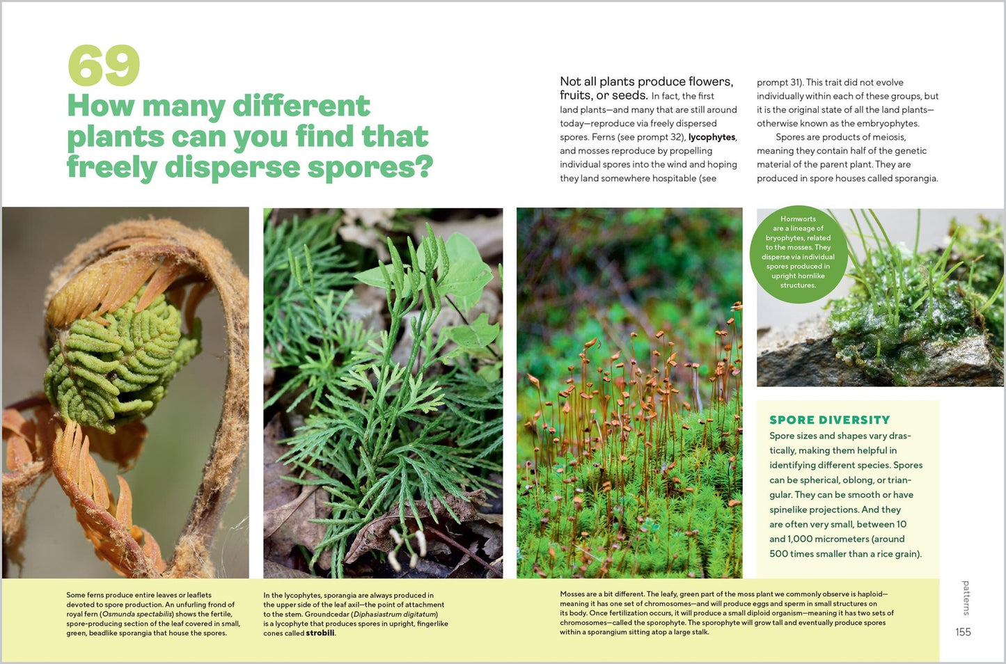 Let's Botanize:  101 Ways to Connect with Plants