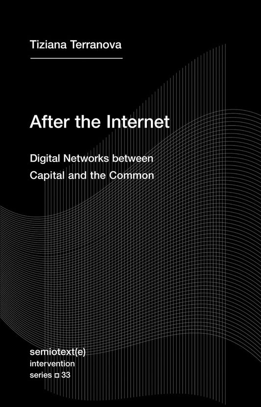 After the Internet:  Digital Networks between Capital and the Common