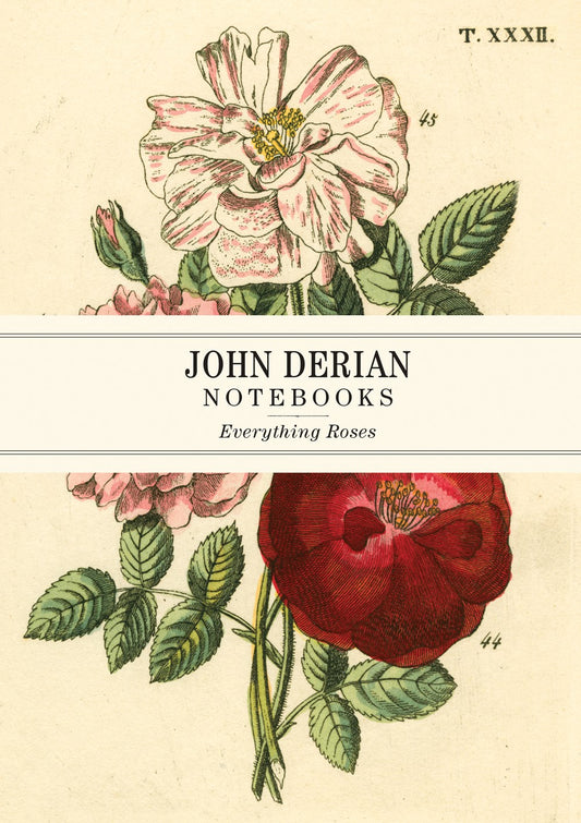 NOTEBOOKS Everything Roses Derian