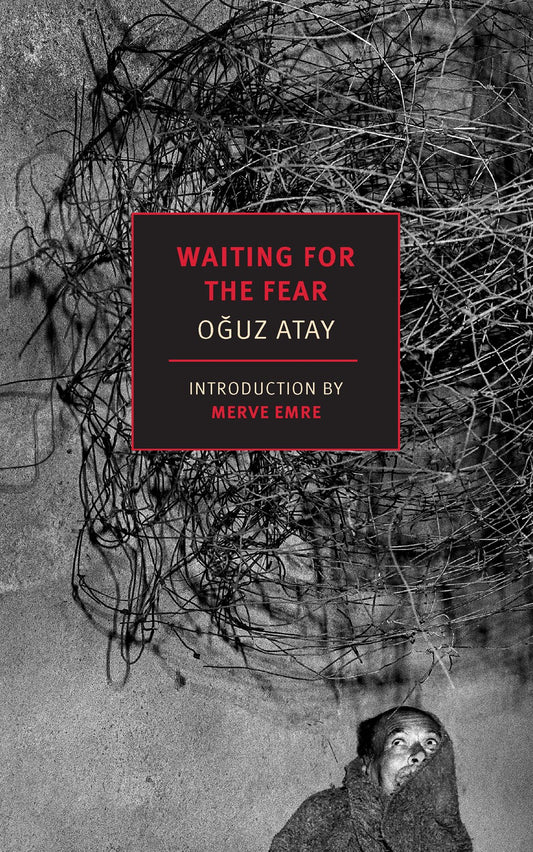 Waiting for the Fear  Oguz Atay