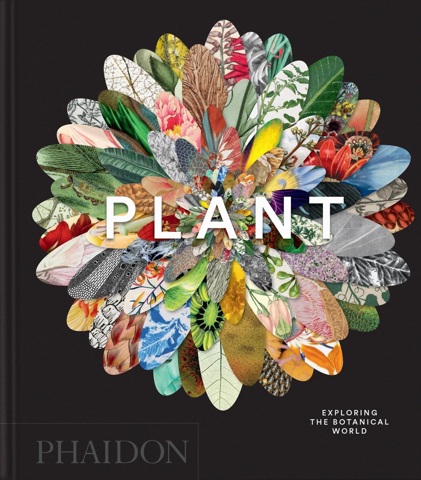 Plant: Compact Format