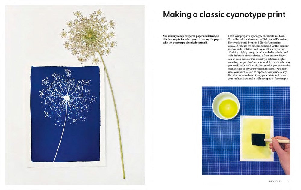 Cyanotype : Learn in a Weekend  Victoria Glover
