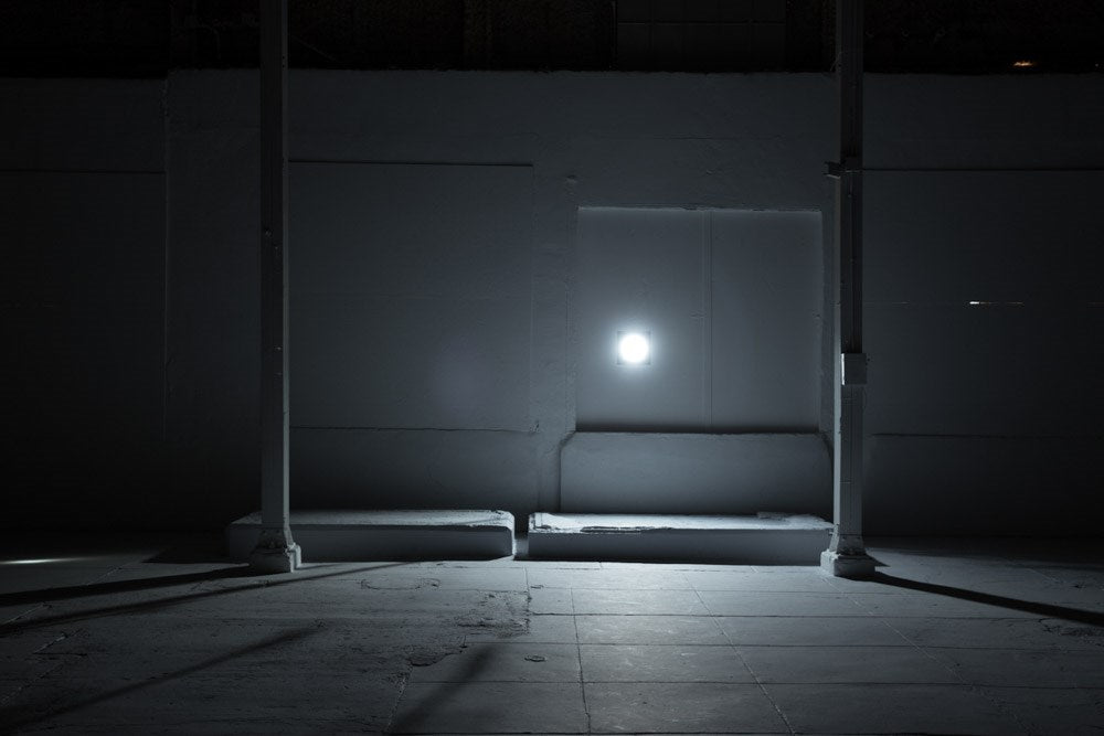 Zoe Leonard: Available Light Leonard, Zoe