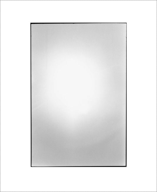Zoe Leonard: Available Light Leonard, Zoe