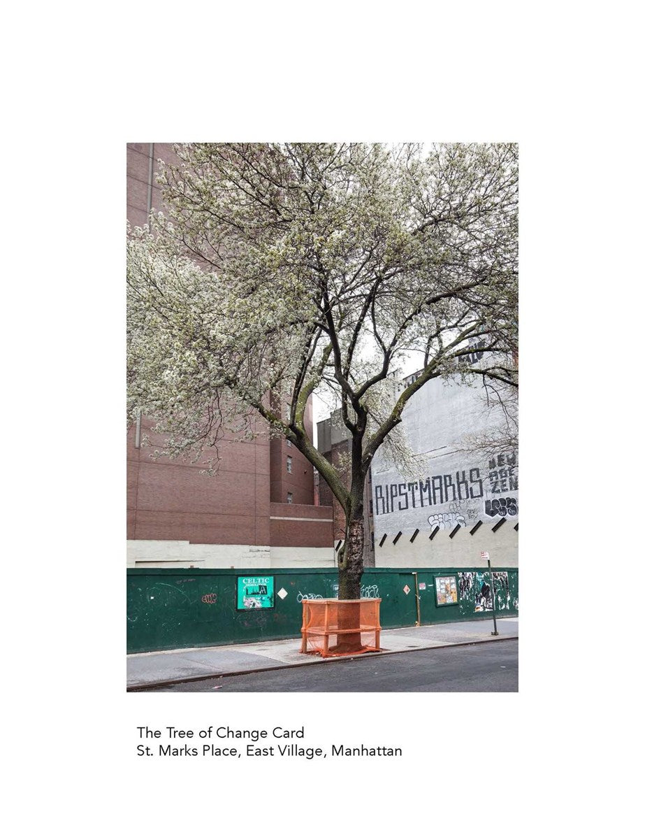 New York City Street Tree Tarot: Matthew López-Jensen