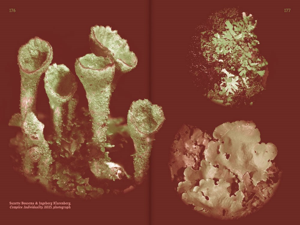 Queer Flora, Fauna, and Funga: A Radical Forage Through Art and Writing