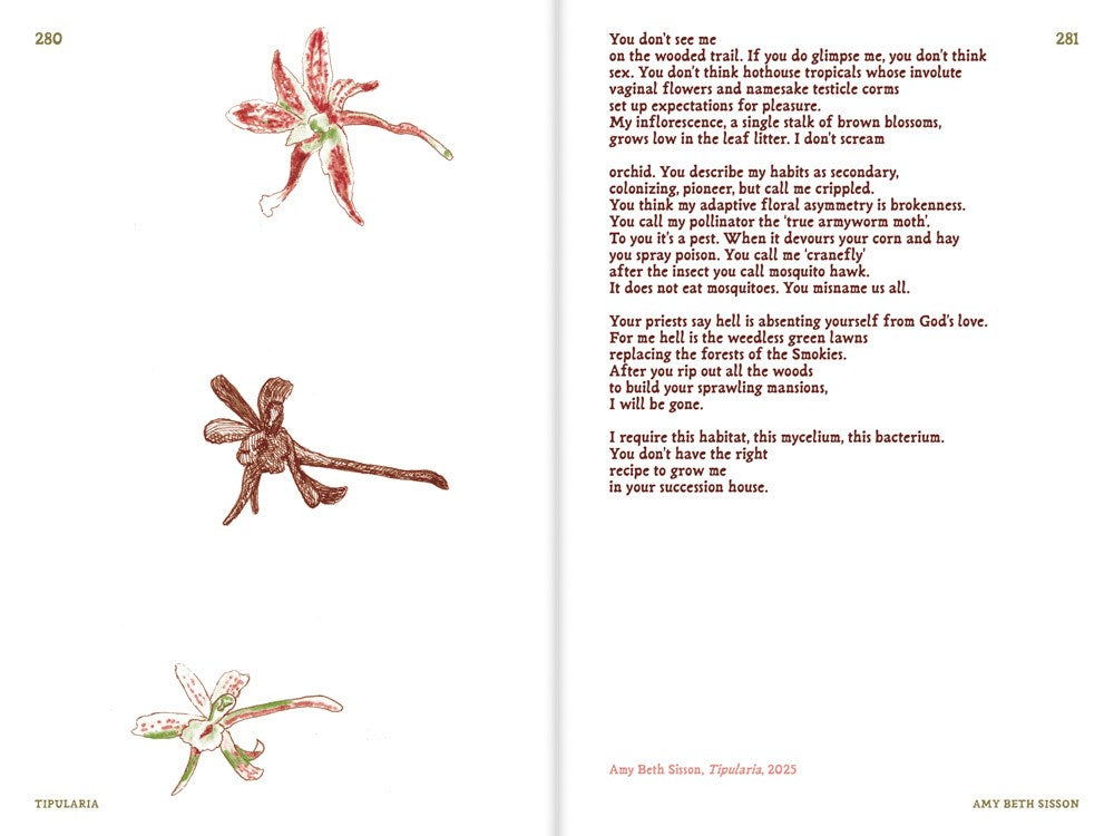 Queer Flora, Fauna, and Funga: A Radical Forage Through Art and Writing