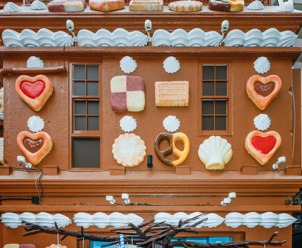 Love Hotel: Photographs by François Prost