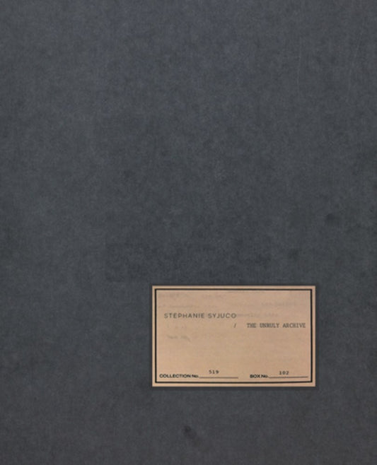 Stephanie Syjuco: The Unruly Archive