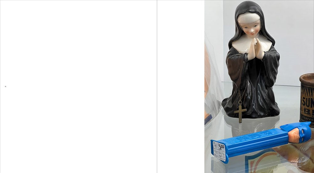 Hunter Gatherer: Salvaged Stories of American Culture David Ricci