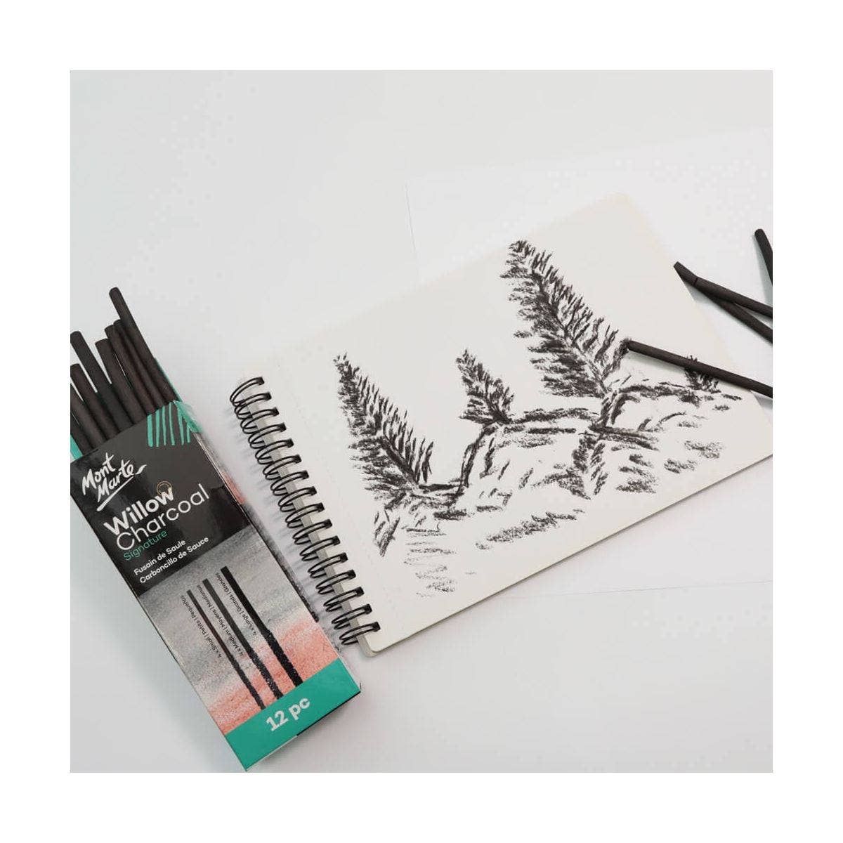 Willow Charcoal Signature 12pc