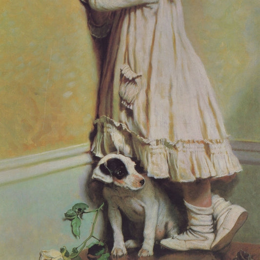 LP VA Going Back to Sleep...