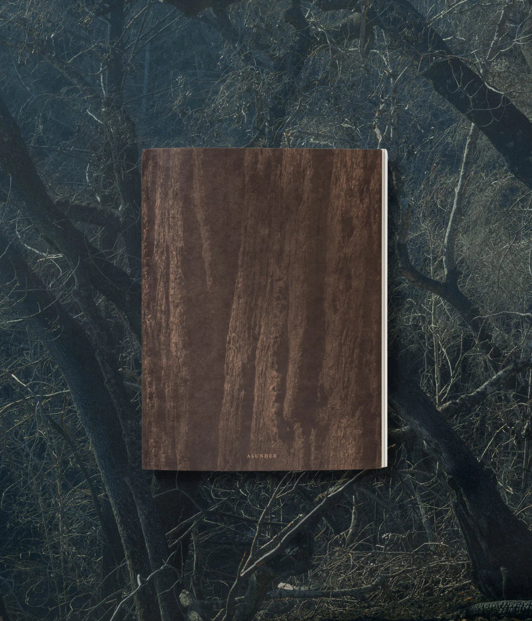 Asunder S. Billie Mandle