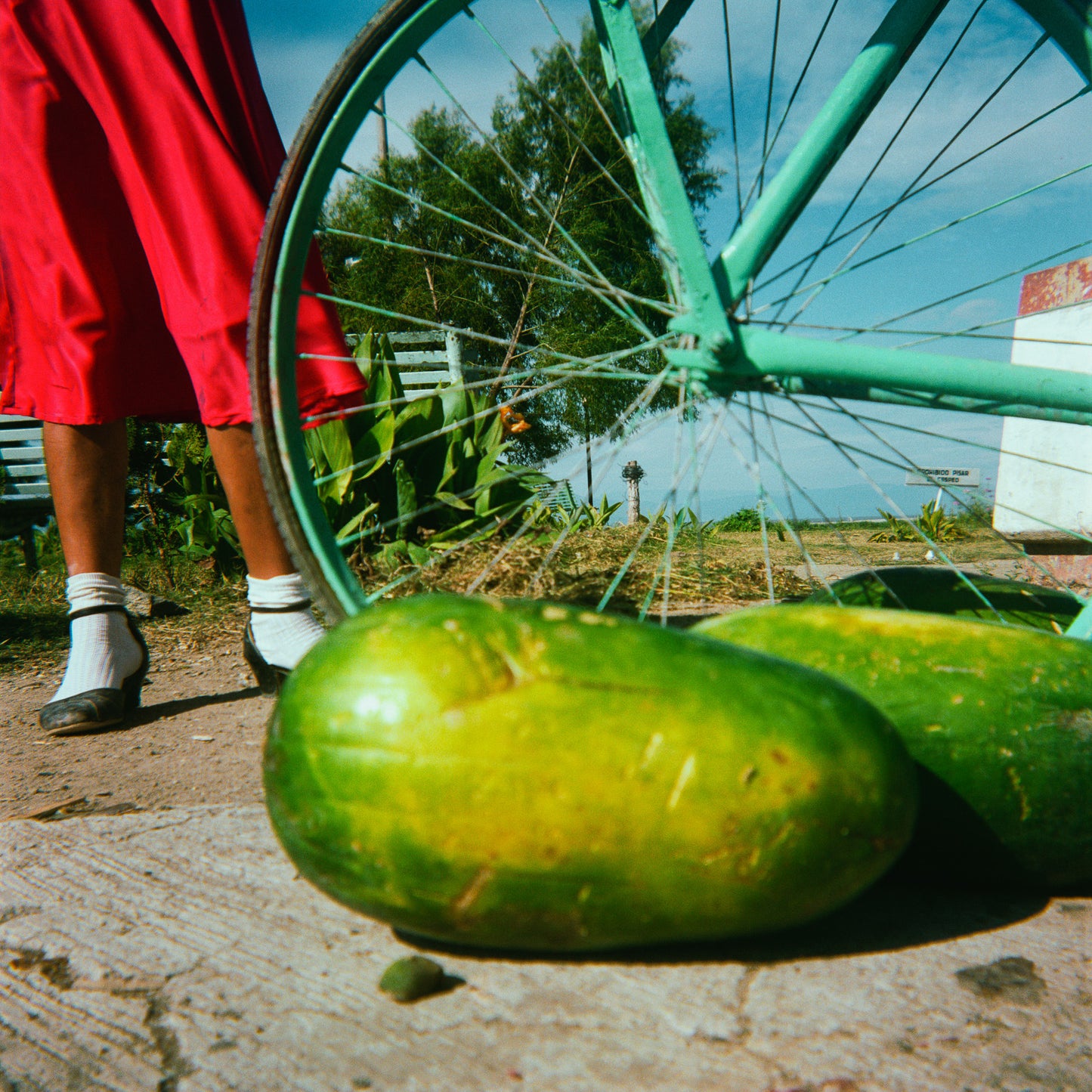 David Katzenstein Brownie