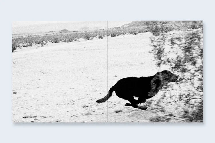 John Divola Dogs Chasing My Car in the Desert