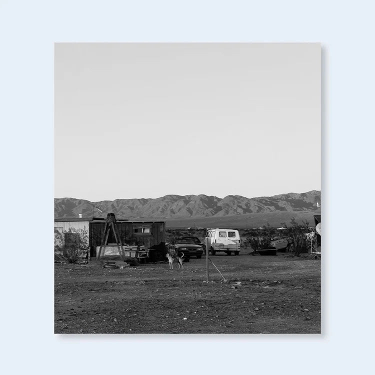 John Divola Dogs Chasing My Car in the Desert