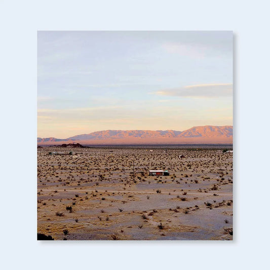 John Divola Isolated Houses