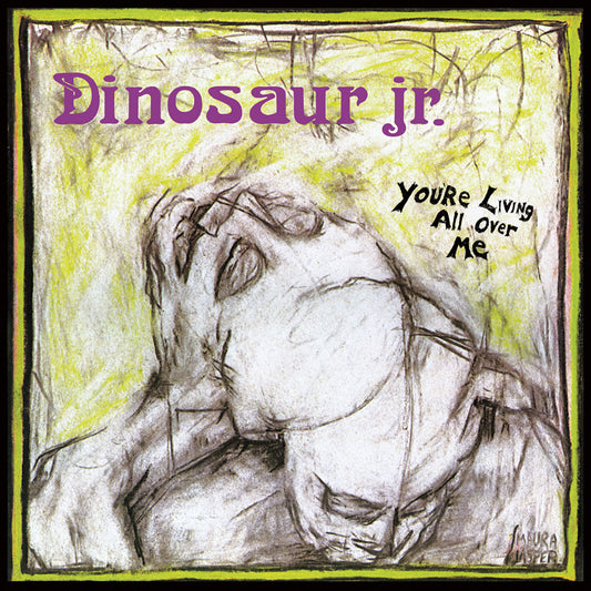 LP Dinosaur Jr  You're Living All Over Me