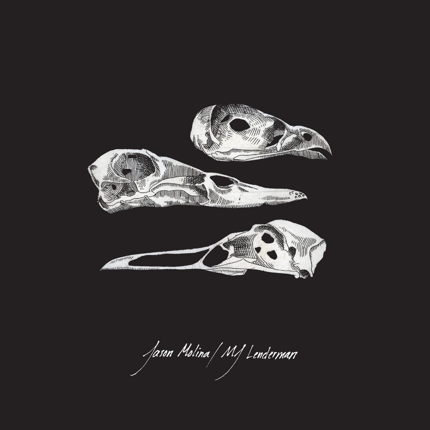 LP Jason Molina & MJ Lenderman Split 7"