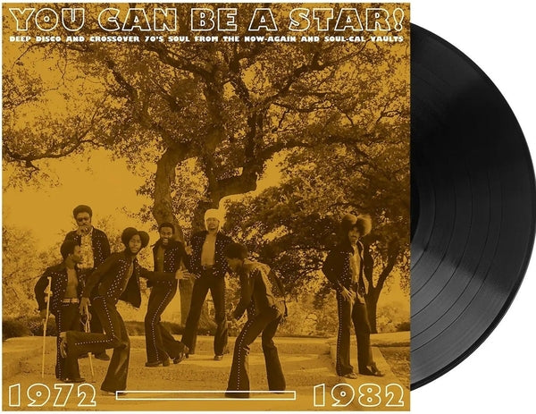 LP Various Artist, You Can Be a Star, Soul Cal