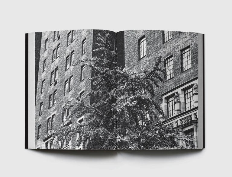 1 New York Times Plaza, NY 11356