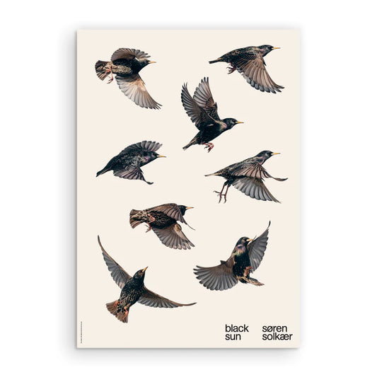 Søren Solkær Black Sun Poster Eight Birds Close Up
