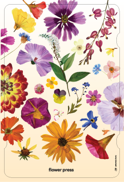 Carly Glovinski Pocket Flower Press