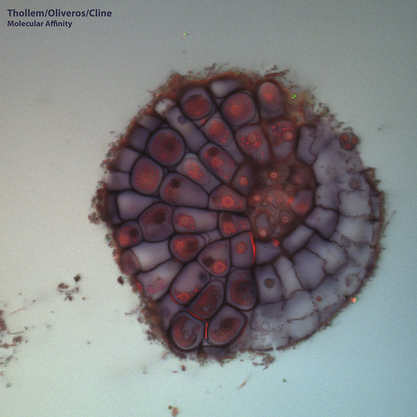 LP MCDONAS/PAULINE OLIVEROS/NELS CLINE, THOLLEM Molecular Affinity