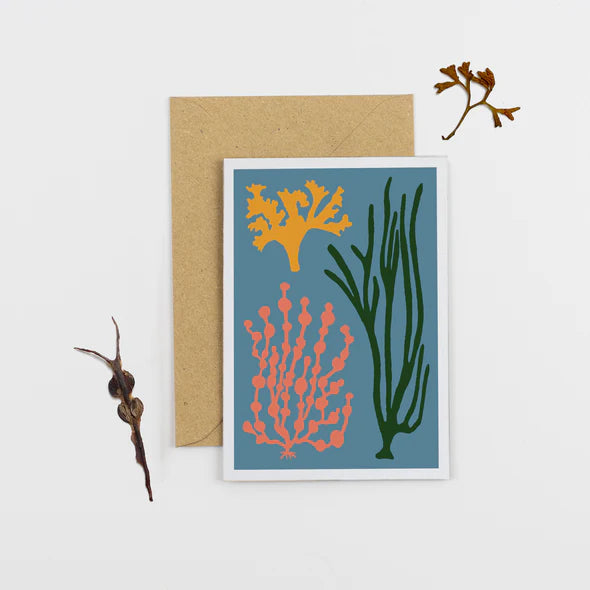 All Occasions Greetings Cards - Blumen Plants/Seaweed Collection