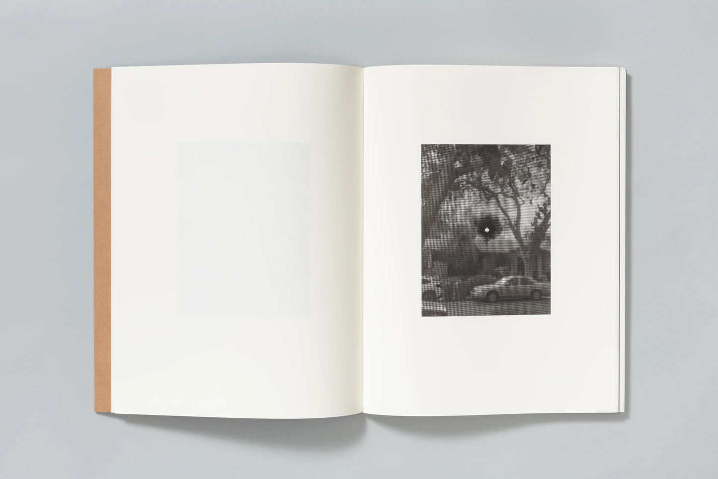 Asunder S. Billie Mandle