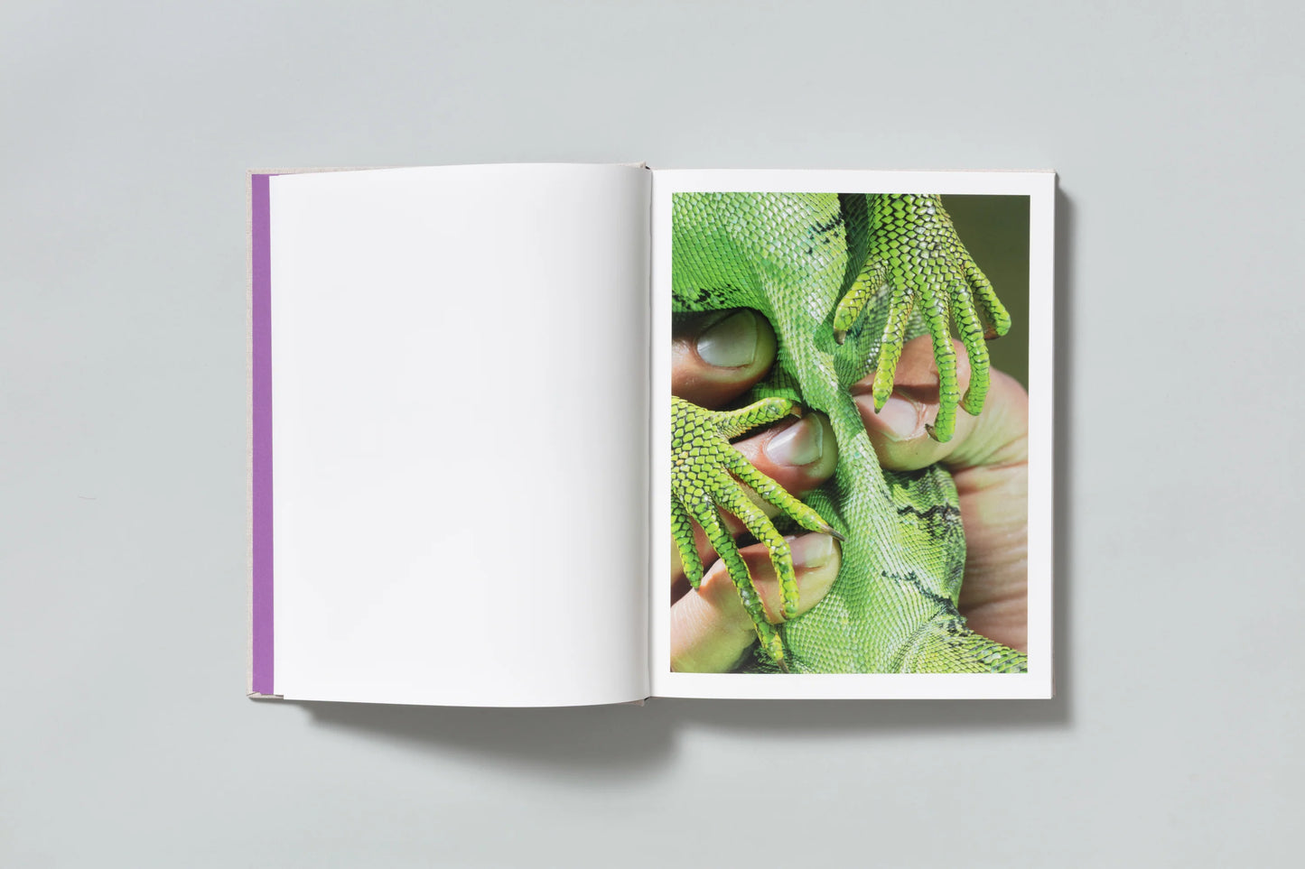 The Marble David Brandon Geeting