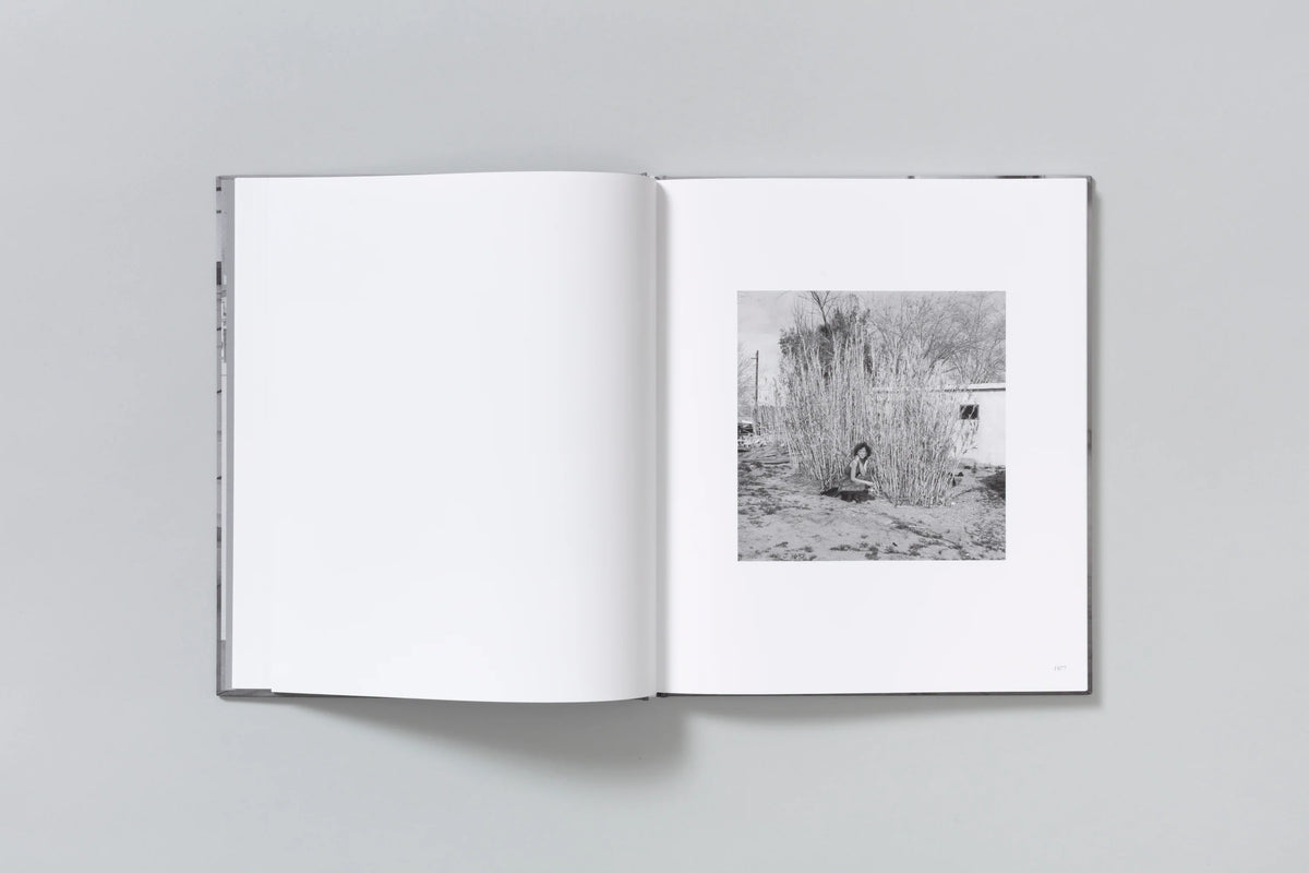 Sheila John Divola