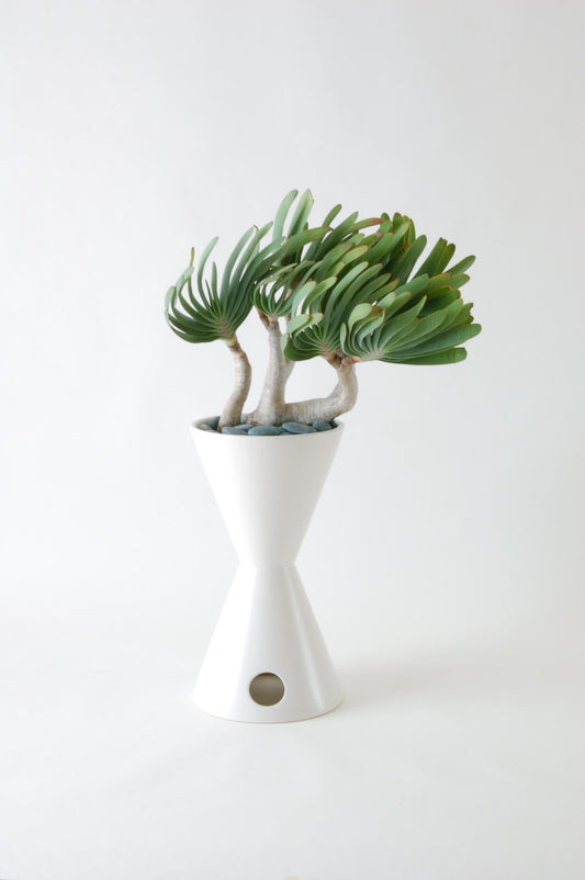 TH2 Glazed Planter/Container (Studio White) Freestanding