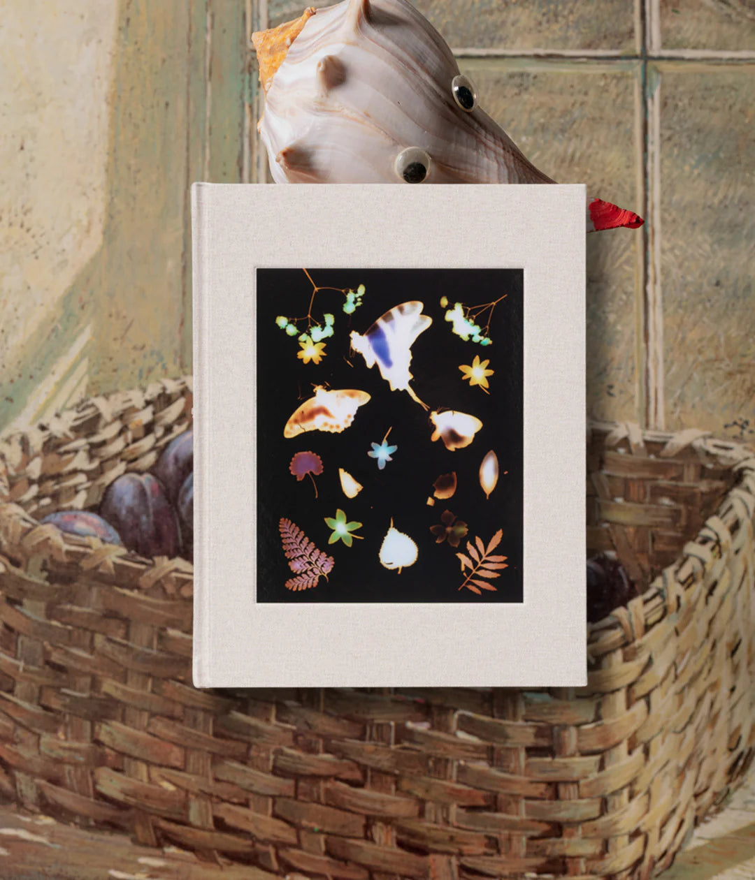 The Marble David Brandon Geeting