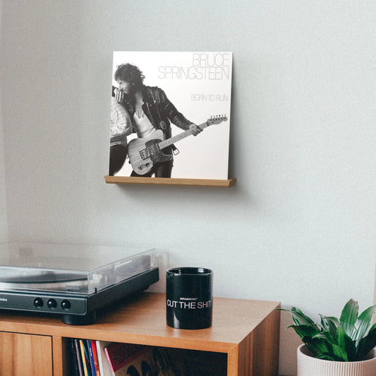 Vinyl Record Display Wall Mount