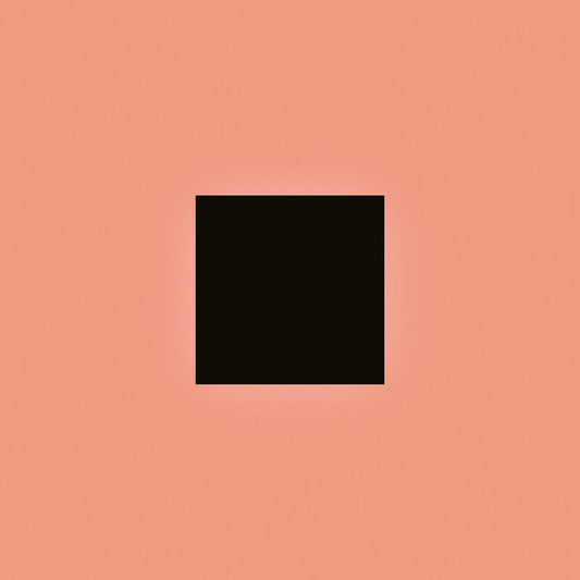 2xLP Bon Iver 'SABLE, fABLE'