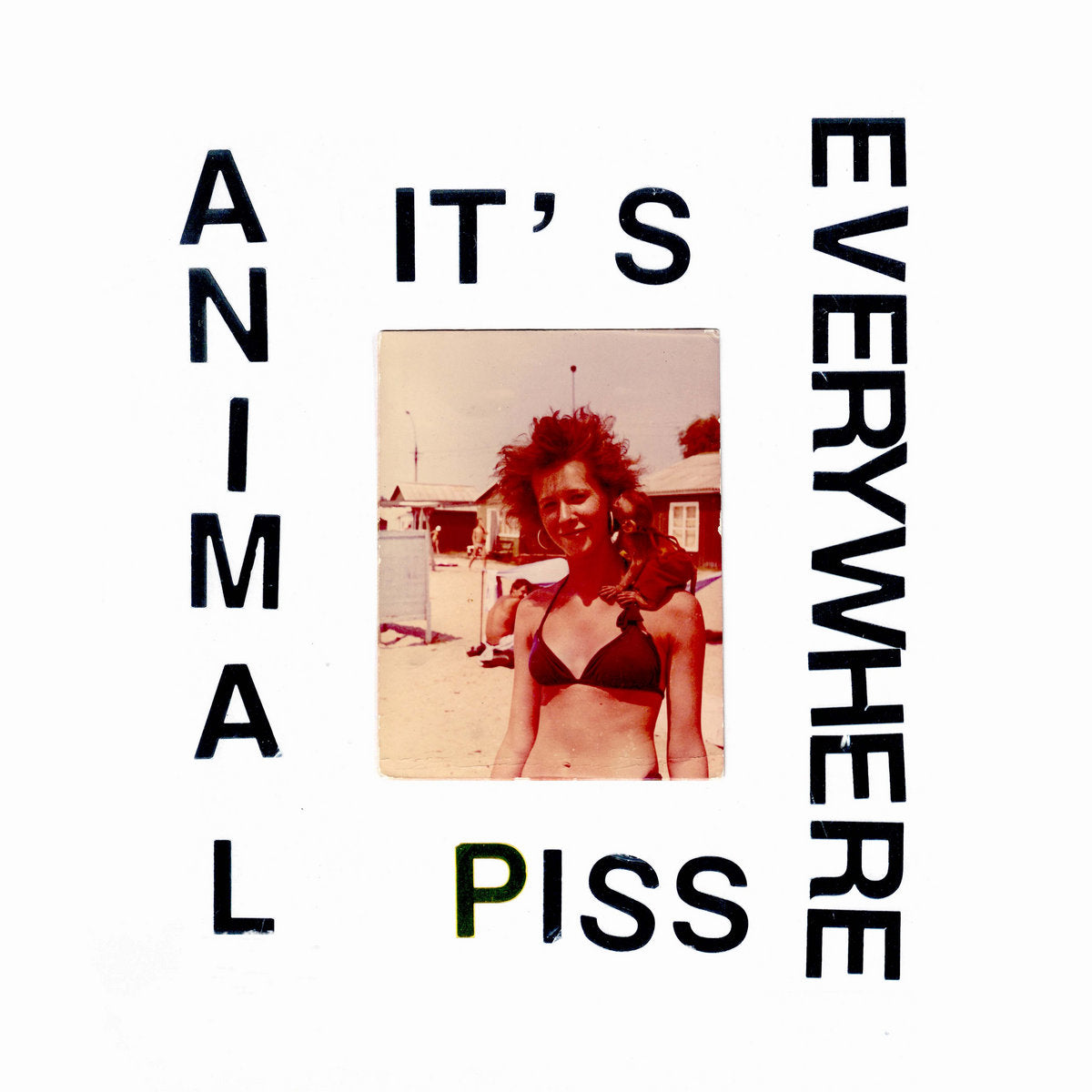 LP Animal Piss, It's Everywhere