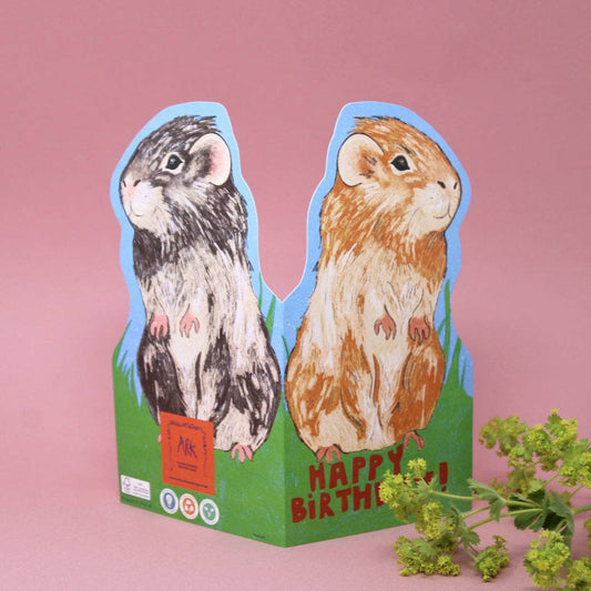 Guinea Pig Shaped Greetings Card