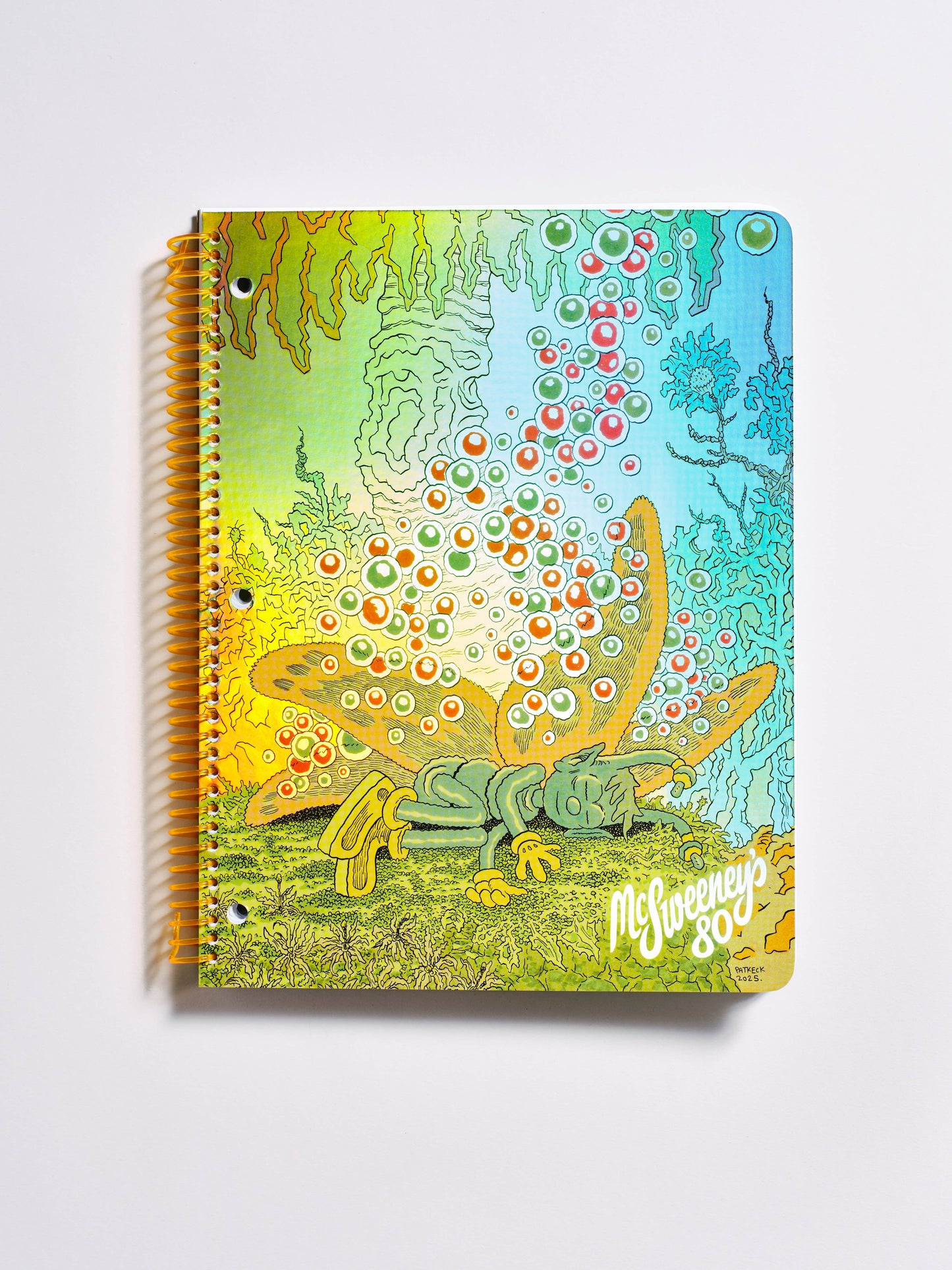 McSweeney’s Issue 80