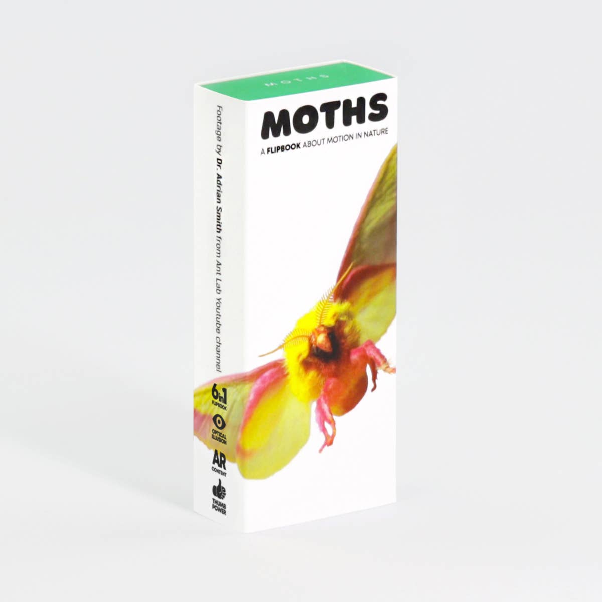 Moths Flipbook