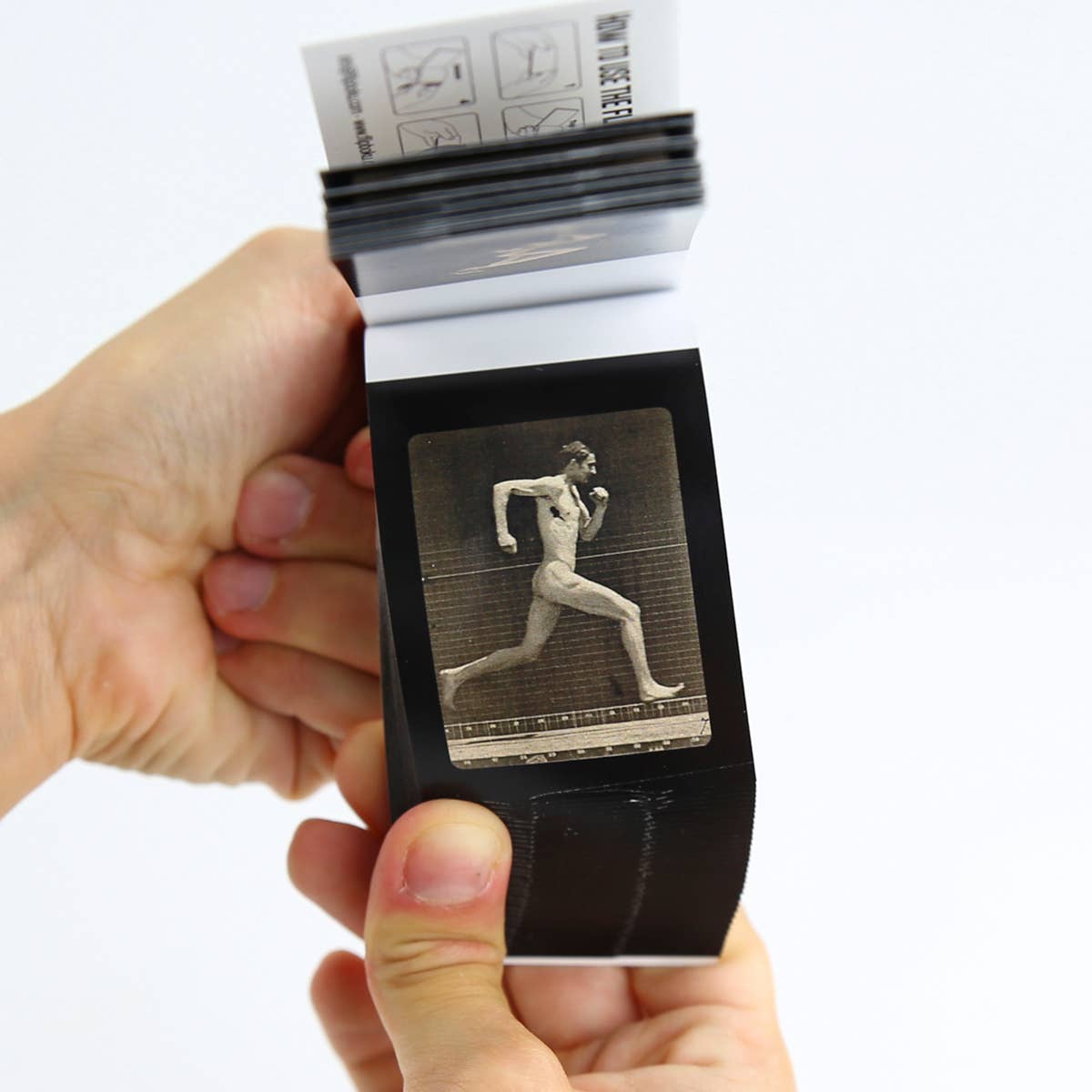 Eadweard Muybridge Flipbook