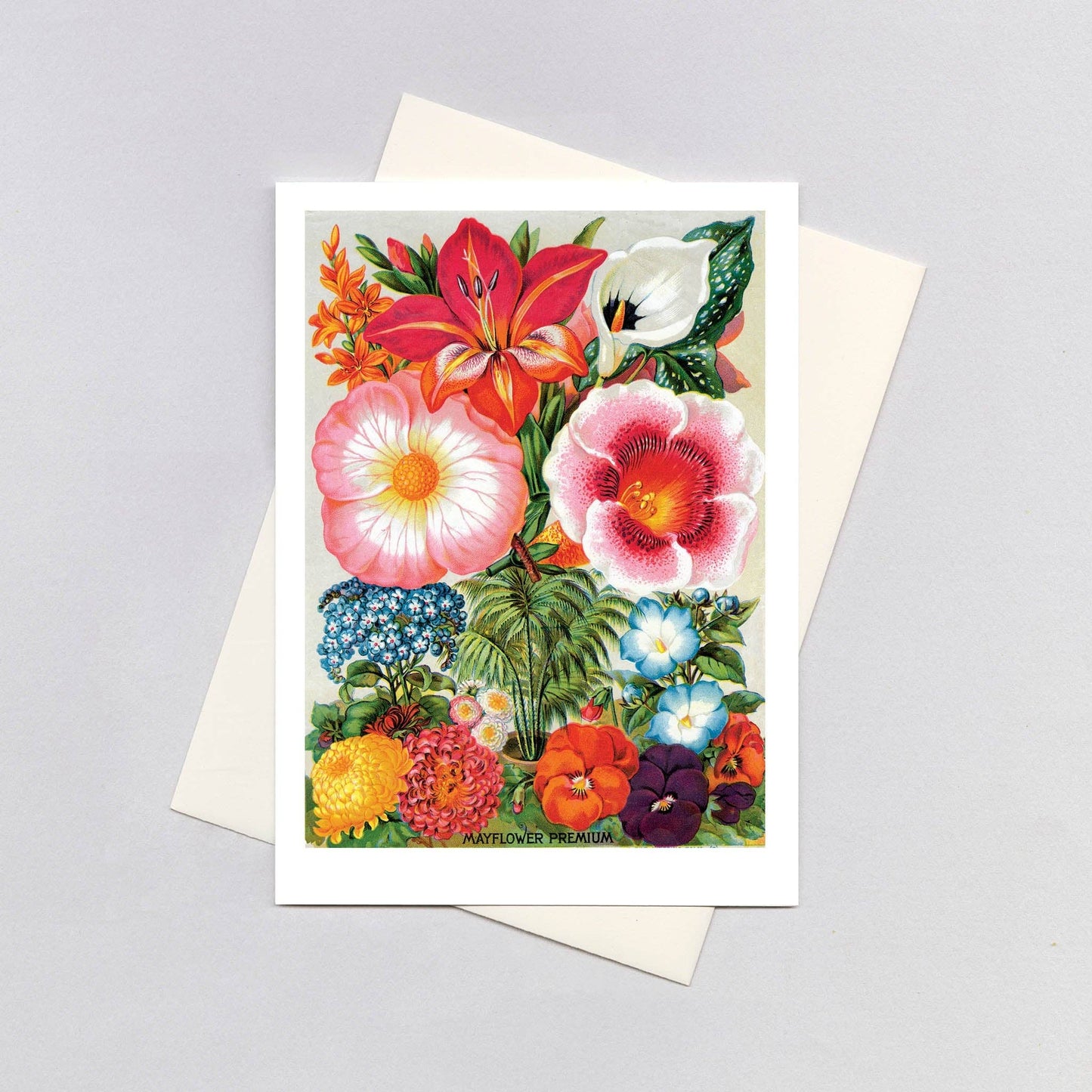 Summer Flowers - Flowers Card