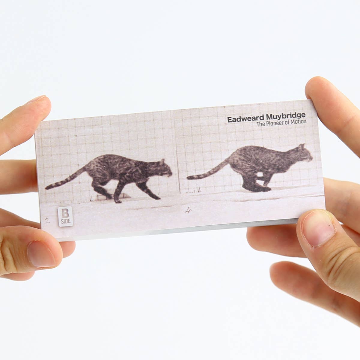 Eadweard Muybridge Flipbook