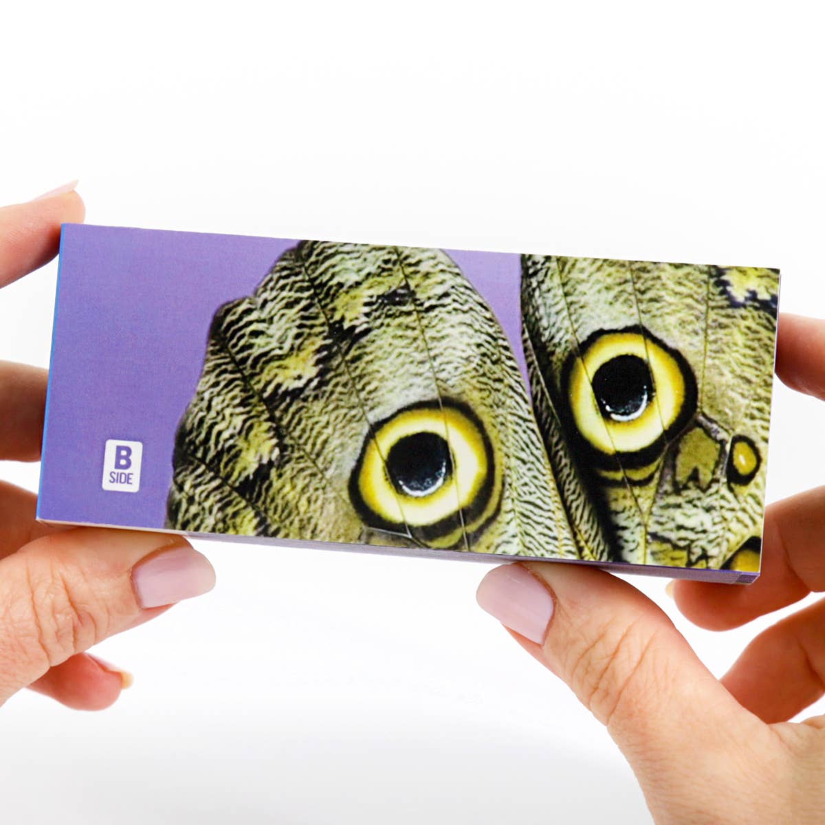 Butterflies Flipbook