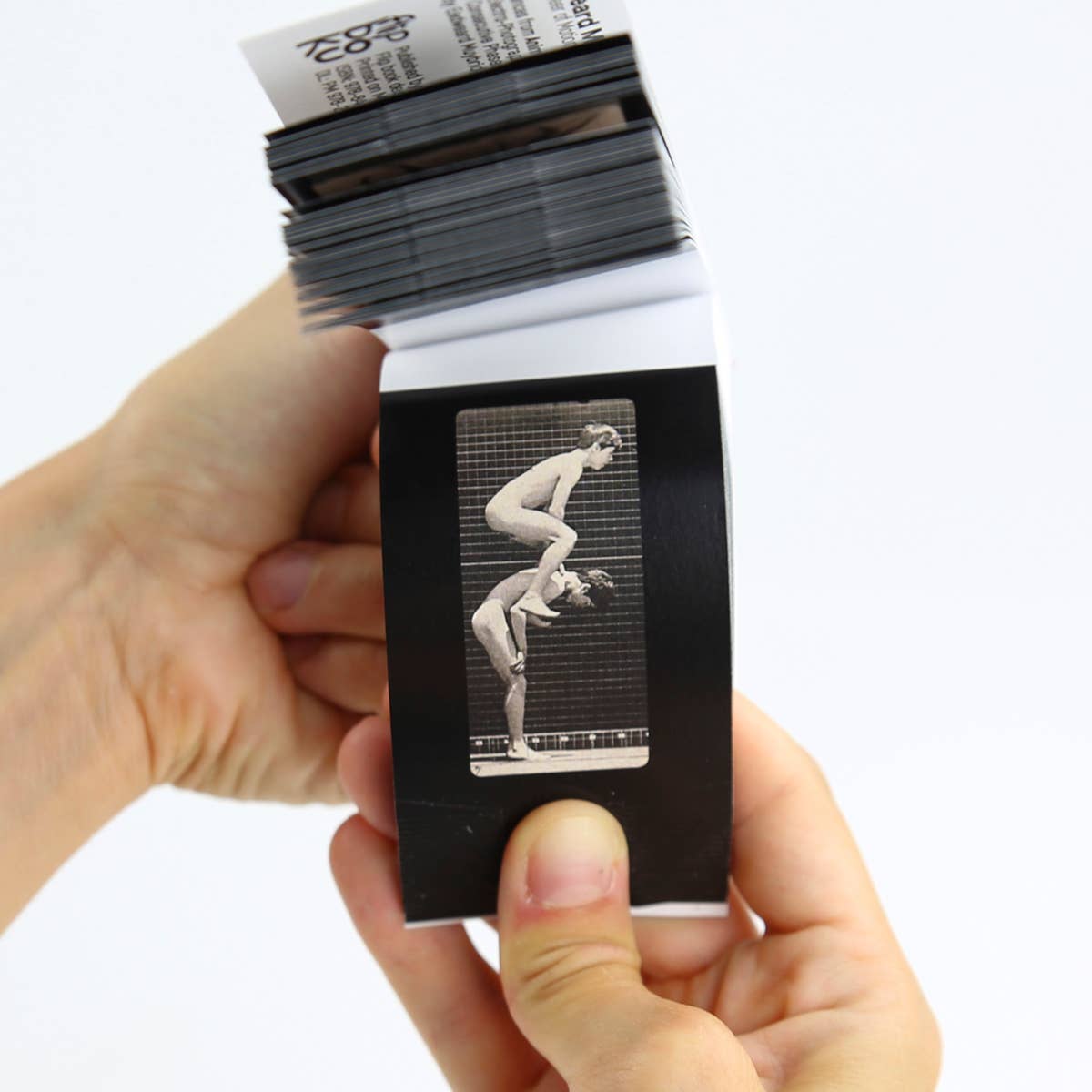 Eadweard Muybridge Flipbook