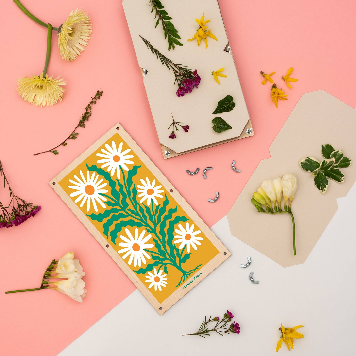 XL Flower Press - Daisy N