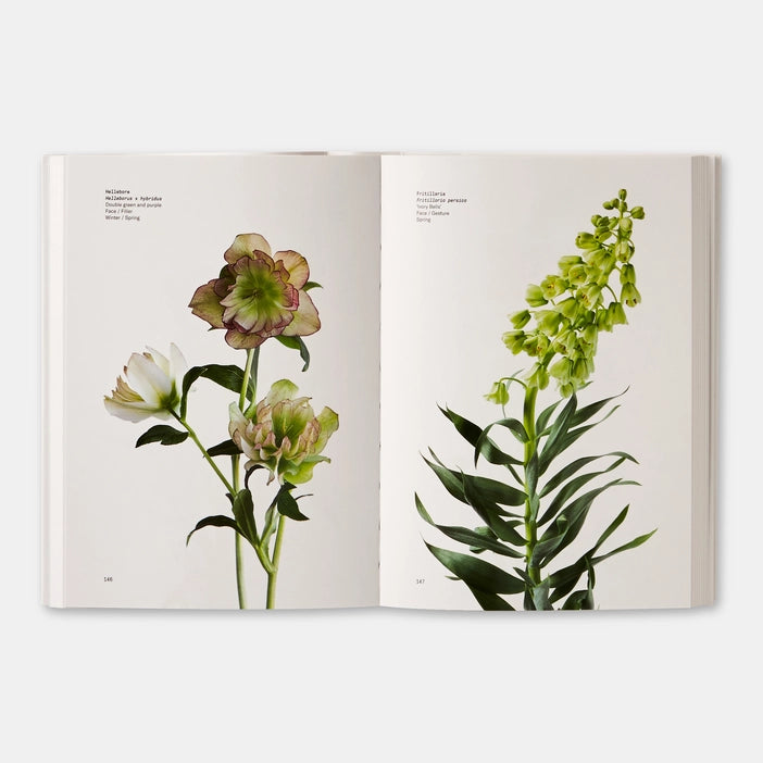 Flower Color Guide (2018) (AE)
