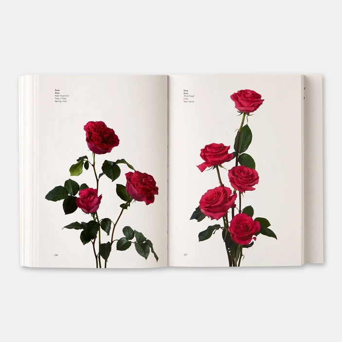 Flower Color Guide (2018) (AE)