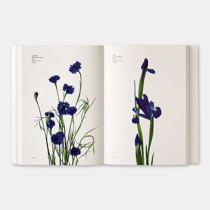 Flower Color Guide (2018) (AE)
